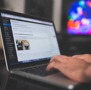 wordpress-300